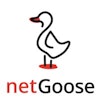 It-sicherheit Anbieter netGoose GmbH