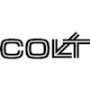 Projektmanagement Anbieter Colt International GmbH